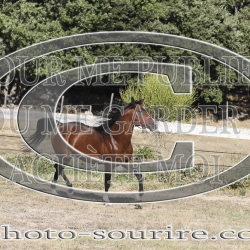 2025-©photo-sourire.com-COKTAIL-1030