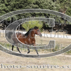 2025-©photo-sourire.com-COKTAIL-1031