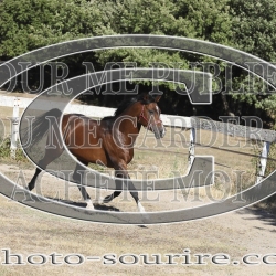 2025-©photo-sourire.com-COKTAIL-1032