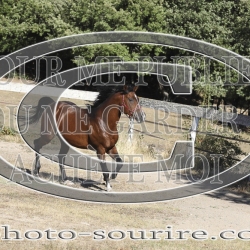 2025-©photo-sourire.com-COKTAIL-1033