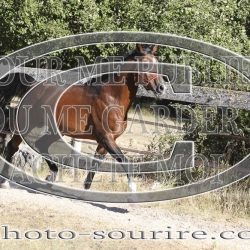 2025-©photo-sourire.com-COKTAIL-1034