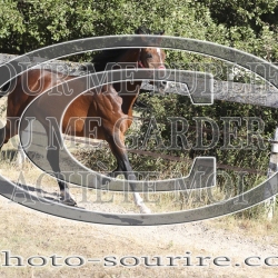 2025-©photo-sourire.com-COKTAIL-1035