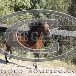 2025-©photo-sourire.com-COKTAIL-1036