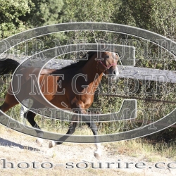 2025-©photo-sourire.com-COKTAIL-1037