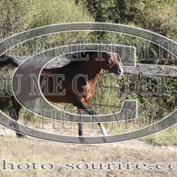 2025-©photo-sourire.com-COKTAIL-1038