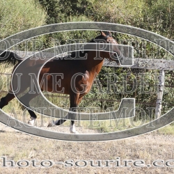 2025-©photo-sourire.com-COKTAIL-1039