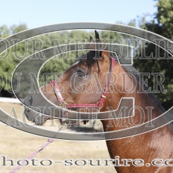 2025-©photo-sourire.com-COKTAIL-1040