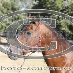 2025-©photo-sourire.com-COKTAIL-1041