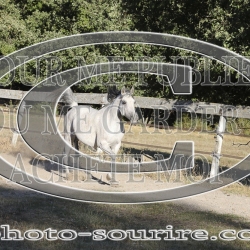 2025-©photo-sourire.com-COMET-1000