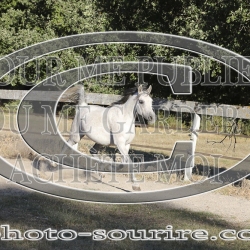 2025-©photo-sourire.com-COMET-1001