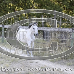 2025-©photo-sourire.com-COMET-1002