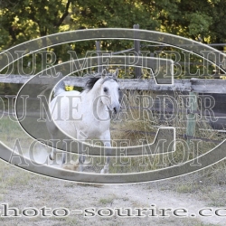 2025-©photo-sourire.com-COMET-1003