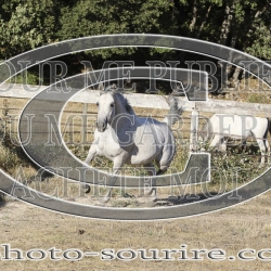 2025-©photo-sourire.com-COMET-1004