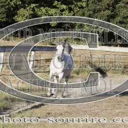 2025-©photo-sourire.com-COMET-1005