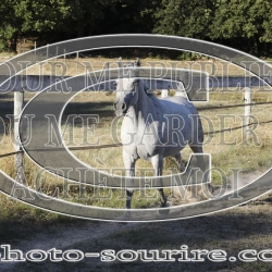 2025-©photo-sourire.com-COMET-1006