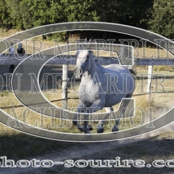 2025-©photo-sourire.com-COMET-1007