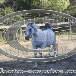 2025-©photo-sourire.com-COMET-1008