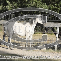 2025-©photo-sourire.com-COMET-1009