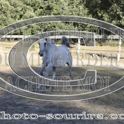 2025-©photo-sourire.com-COMET-1010