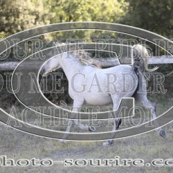 2025-©photo-sourire.com-COMET-1011