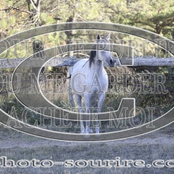 2025-©photo-sourire.com-COMET-1012