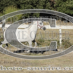 2025-©photo-sourire.com-COMET-1002