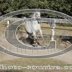 2025-©photo-sourire.com-COMET-1003