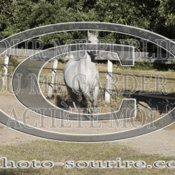 2025-©photo-sourire.com-COMET-1004