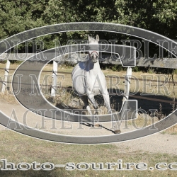 2025-©photo-sourire.com-COMET-1006