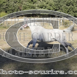 2025-©photo-sourire.com-COMET-1008