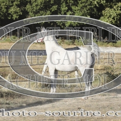 2025-©photo-sourire.com-COMET-1009