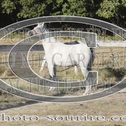 2025-©photo-sourire.com-COMET-1010