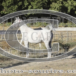 2025-©photo-sourire.com-COMET-1011