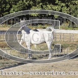 2025-©photo-sourire.com-COMET-1012