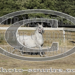 2025-©photo-sourire.com-COMET-1013