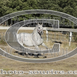 2025-©photo-sourire.com-COMET-1014