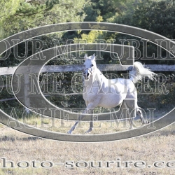 2025-©photo-sourire.com-COMET-1015