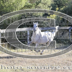 2025-©photo-sourire.com-COMET-1016