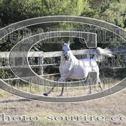 2025-©photo-sourire.com-COMET-1017