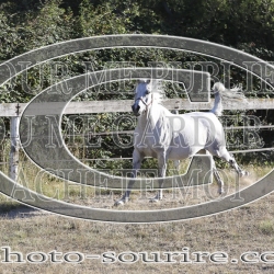 2025-©photo-sourire.com-COMET-1018