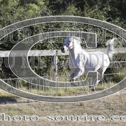 2025-©photo-sourire.com-COMET-1019