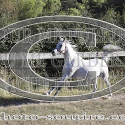 2025-©photo-sourire.com-COMET-1020