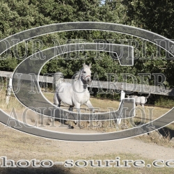 2025-©photo-sourire.com-COMET-1021