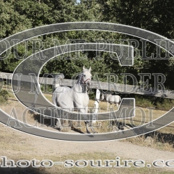 2025-©photo-sourire.com-COMET-1022