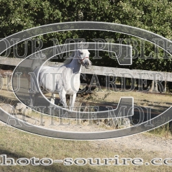 2025-©photo-sourire.com-COMET-1023