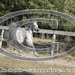 2025-©photo-sourire.com-COMET-1024