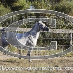 2025-©photo-sourire.com-COMET-1025