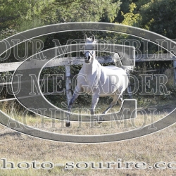 2025-©photo-sourire.com-COMET-1026