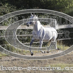 2025-©photo-sourire.com-COMET-1028