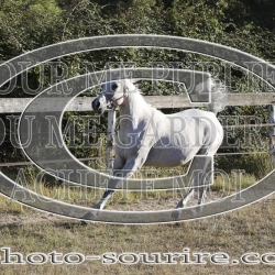 2025-©photo-sourire.com-COMET-1029